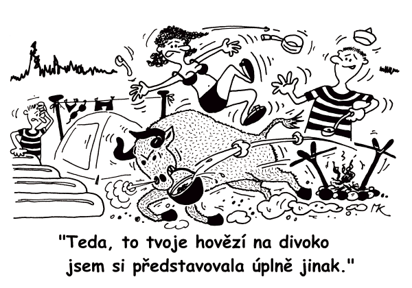 Teda, to tvoje hovězí na divoko jsem si představovala úplně jinak.