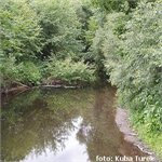 Mohelka