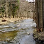 Střela