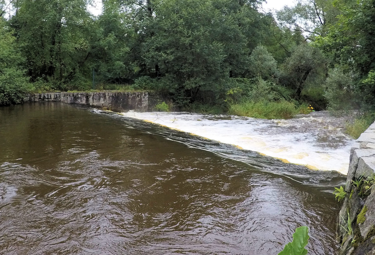 rkm. 56,3 Jez před Husincem, 30.8.2023, 5.96 m3/s