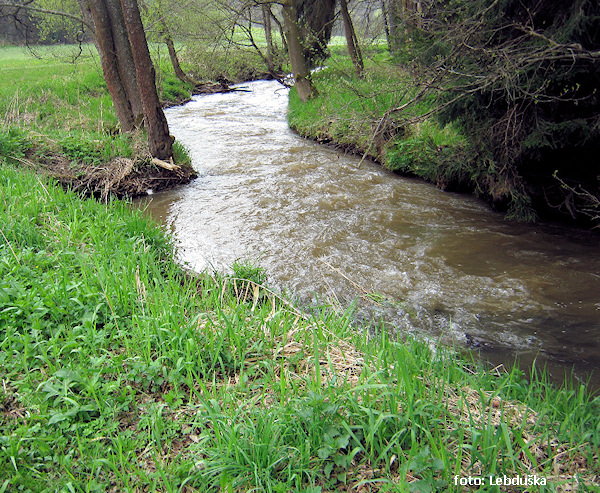 Horní Trnávka