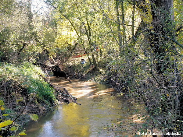 Pod Miškovicemi