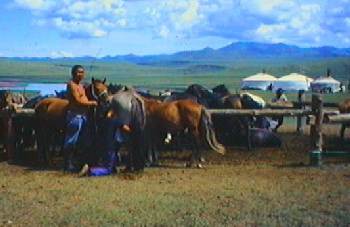 Mongolove u koni