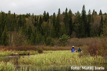 Maple Creek