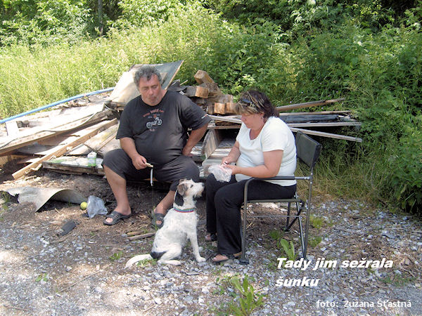 Vodácký zájezd očima lodního psa