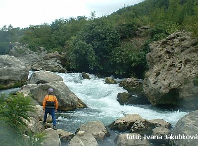 Cetina