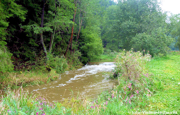 rkm. 7,3 Stupeň pod obcí Baliny