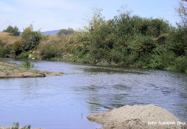 Balog nad Iplom