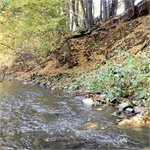 Brodění jindřichohradecké Kamenice