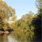 Mošoňský Dunaj