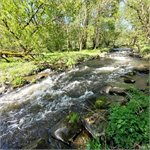 Rybí přechod u jezu Untersteinbach 