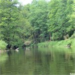 Drweca