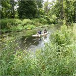 Wierzyca – řeka pro koněsery
