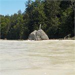 Isar pod městem Icking za 300 m3/s - skalka Georgenstein