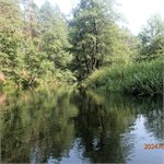 Brda pod Rytelem