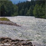 C. Dunajec na r.km 41.0