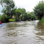 Mures pod Sarmasem
