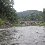Nysa