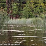 Vjezd na jezero Kryzne