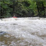 Kamenný stupeň, 15.10.2020, vdčt Otradov 5.7 m3/s, 32 cm