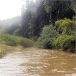 Rakovnický potok