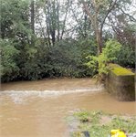 Rakovnický potok