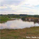 Pilica