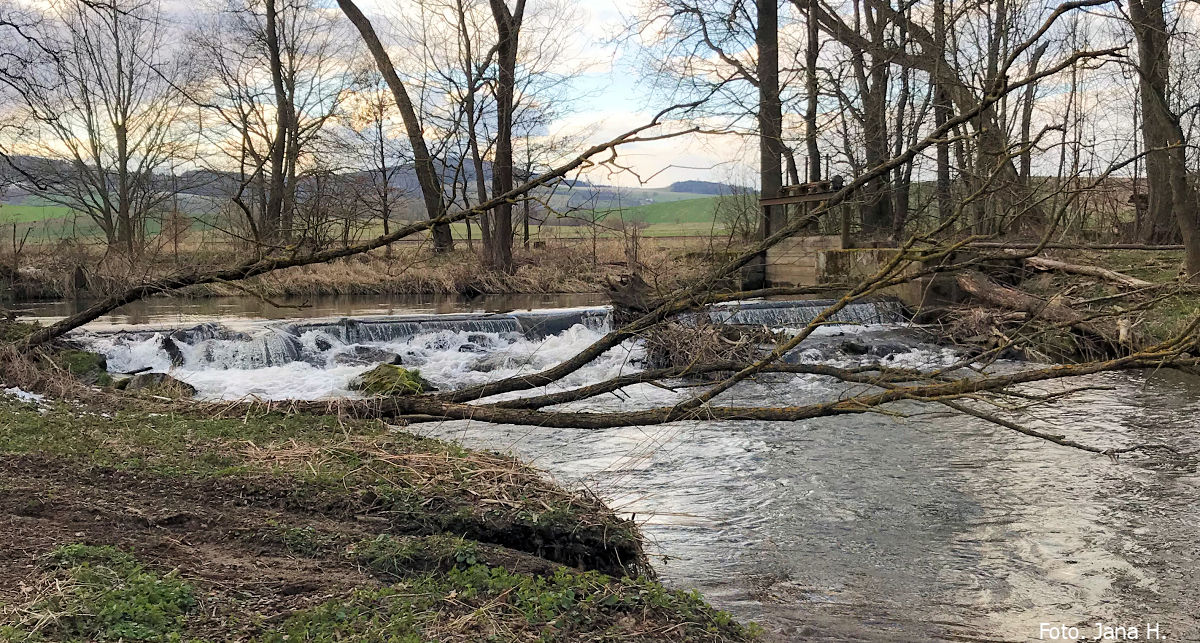 rkm. 78,0 Jez se širokou korunou a charakterem balvanitého stupně 22.3.2020