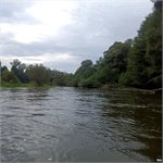 Jeden z ostrůvků s ramenem pod hrází Krpeľany