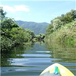 Richios - letní osvěžení