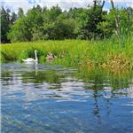 Radunia aneb Nejkrásnější (prý) řeka Polska