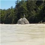 Isar pod městem Icking za 300 m3/s - skalka Georgenstein