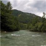 Steyr