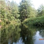 Brda pod Rytelem