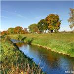 V Malenovicích za slévárnou