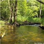 Rozdvojení toku Ostružné nad Čachrovem