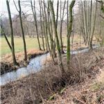 Nejhořejší úsek nad Radimovicemi