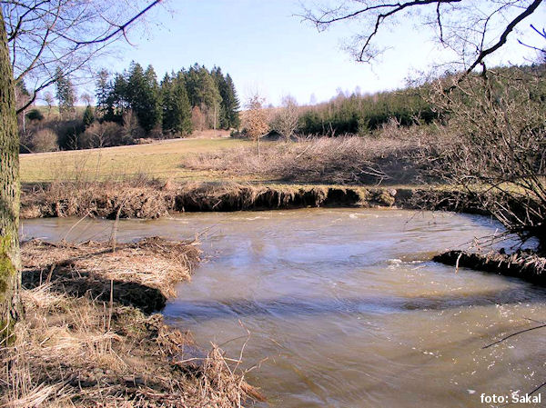 Borovský potok