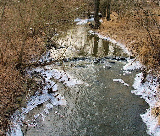 Pařezí