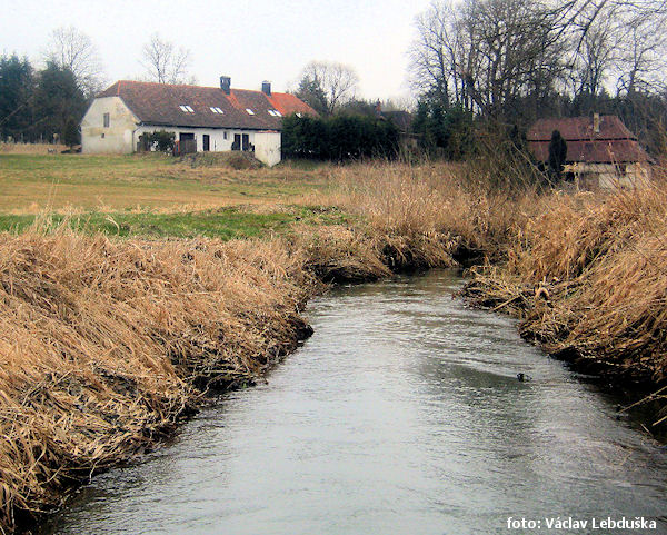 Chotovinský potok nad Stříbrnými Hutěmi