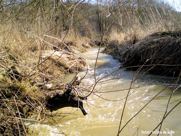 Žehrovka