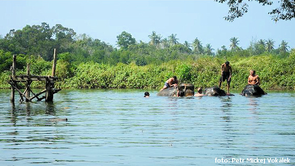 Klong Prao – Koupání slonů.