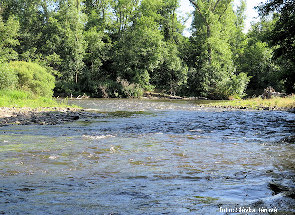 Mezi Brioude a Issoire