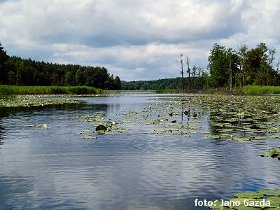 Brodnicke pojazera