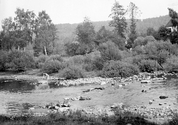 Historická fotografie Mže