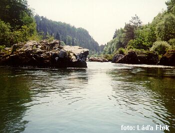 Sava asi 4km pod Radovlici