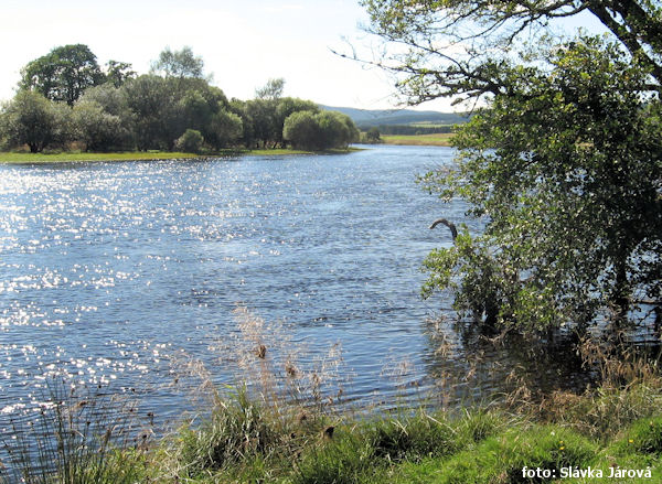 Místo prvního oběda mezi Boat of Garten a Grantown on Spey