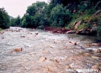 Studeny potok pod Habovkou