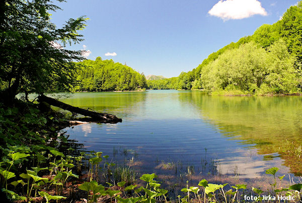 Biogradsko jezero