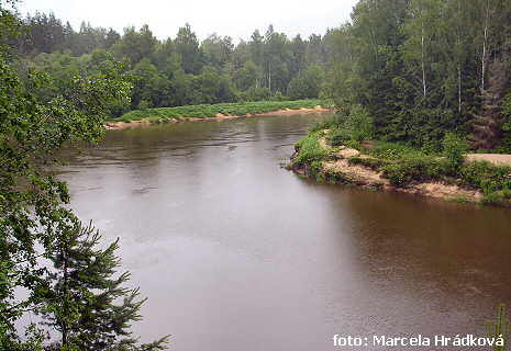 Gauja